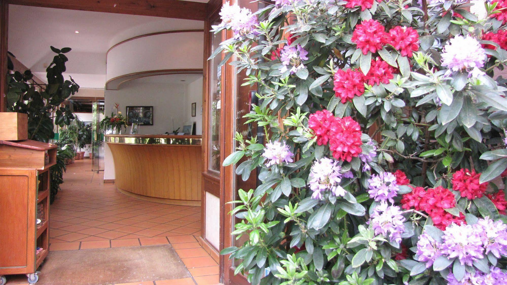 Hotel Le Caballin Vogelgrun 外观 照片